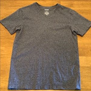 Express Stretch V-Neck Shirt